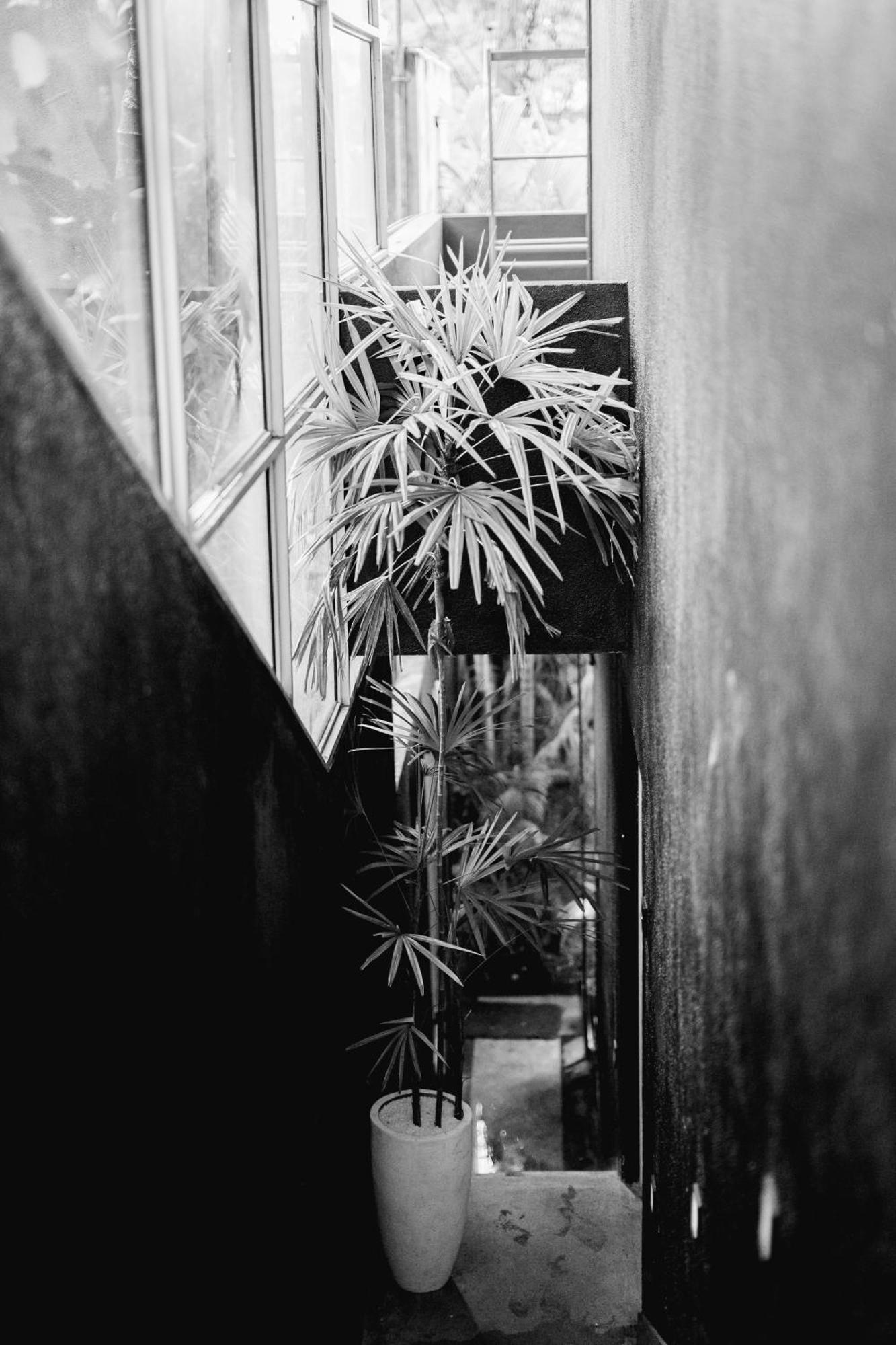 Sugar Hostel Weligama - Coliving & Coworking Buitenkant foto