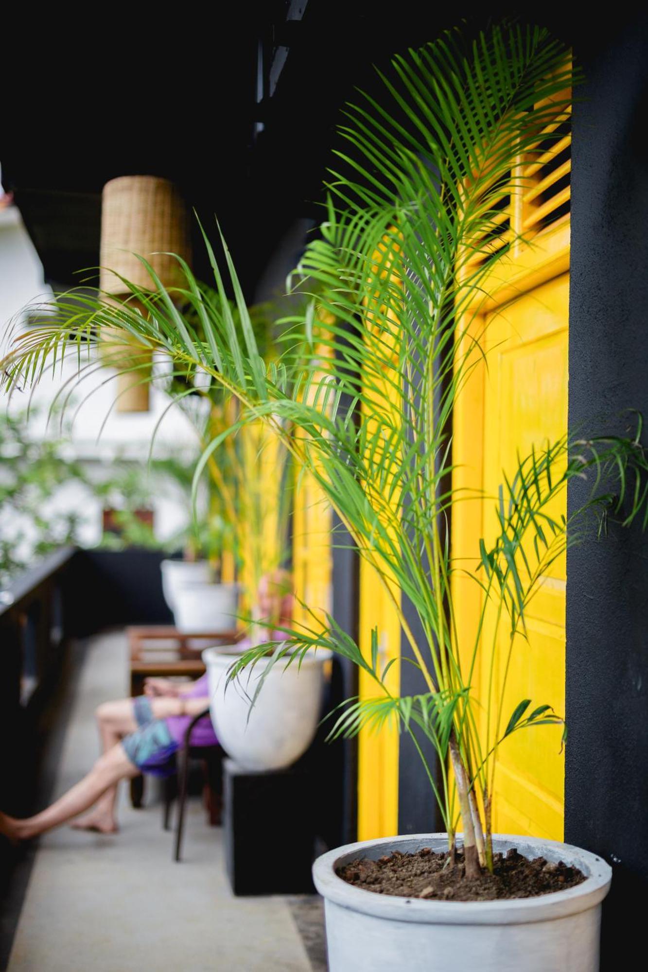 Sugar Hostel Weligama - Coliving & Coworking Buitenkant foto