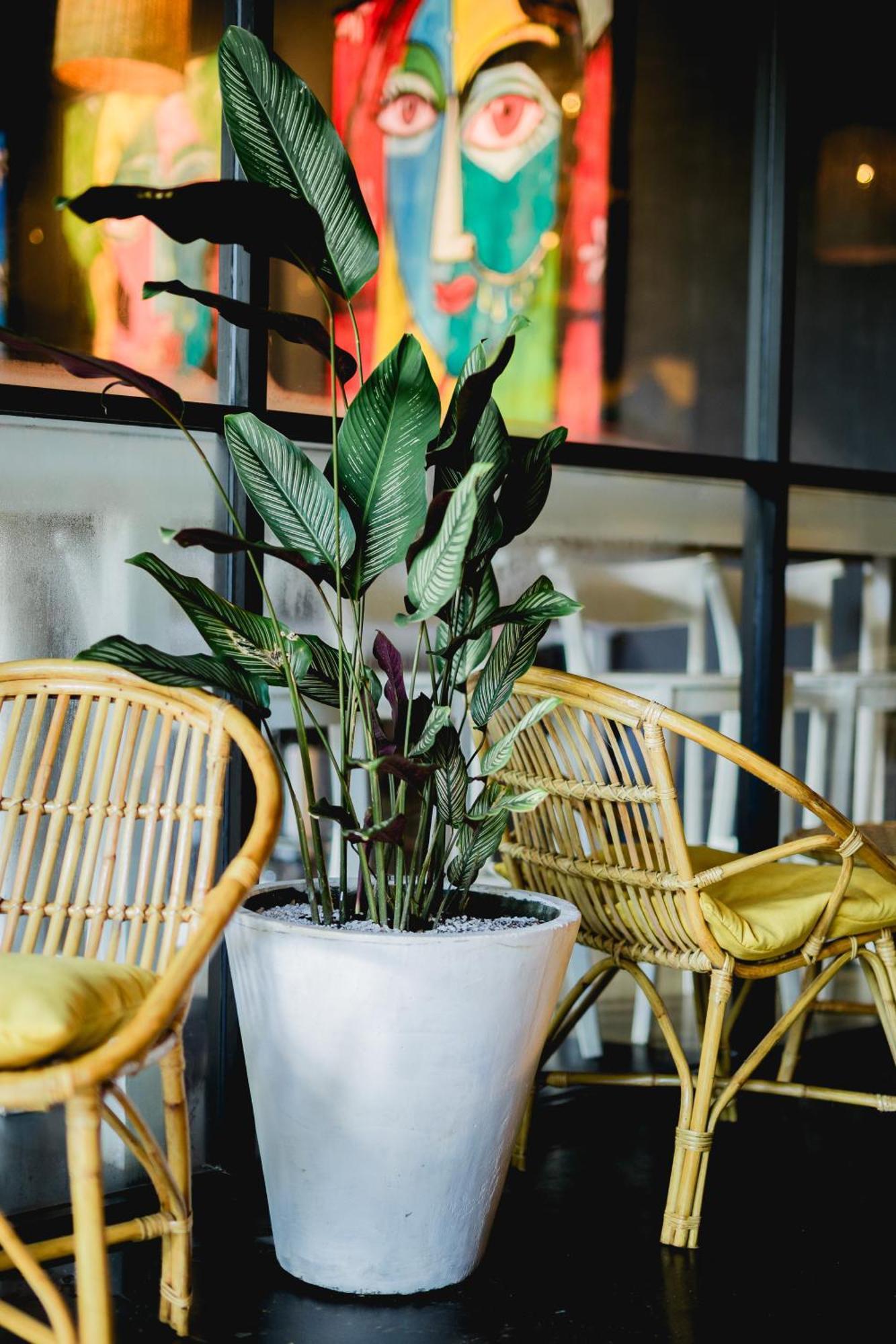 Sugar Hostel Weligama - Coliving & Coworking Buitenkant foto
